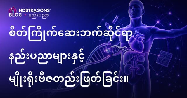 ကိုယ်ပိုင်ဆေးကုထုံးနည်းပညာများနှင့် ဗီဇပြုပြင်ခြင်း၏နောက်ဆုံးလမ်းညွှန်