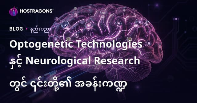 Optogenetik နည်းပညာနှင့် ဦးနှောက်ပညာ သုတေသနများတွင် ခေတ်သစ်အယူအဆ