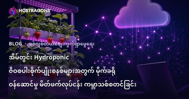 အိမ်တွင်း Hydroponic ဇီဝစပါးစိုက်ပျိုးစနစ်များအတွက် မိုက်ခရို ဝန်ဆောင်မှု မိတ်ဖက်လုပ်ငန်း ကမ္ဘာသစ်စတင်ခြင်း
