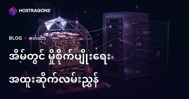 အိမ်တွင်း မှန်တာ စိုက်ပျိုးခြင်း (အိုစတား၊ တရုပ်) နဲ့ ဗဟုသုတ ဗျည်းလယ်ယာ ဝက်ဘ်ဆိုက် တည်ဆောက်ခြင်း