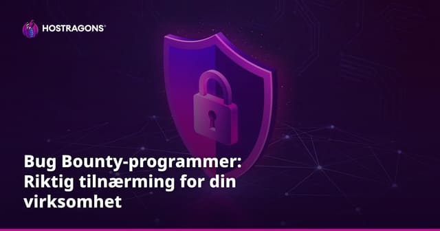 Bug Bounty-programmer: Riktig tilnærming for din virksomhet