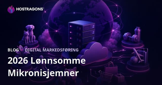 De Mest Lønnsomme Mikro-nisjene i 2026