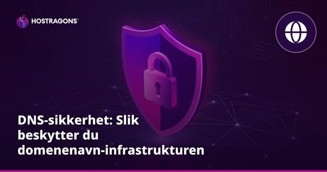 DNS-sikkerhet: Slik beskytter du domenenavn-infrastrukturen din