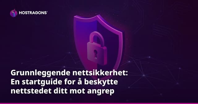 Grunnleggende nettsikkerhet: En startguide for å beskytte nettstedet ditt mot angrep