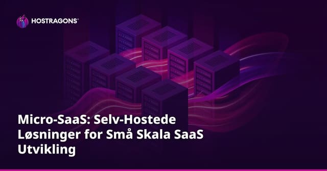 Micro-SaaS: Egendrevet Utvikling av Små Skala SaaS