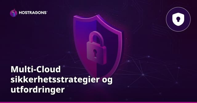 Multi-Cloud sikkerhetsstrategier og utfordringer