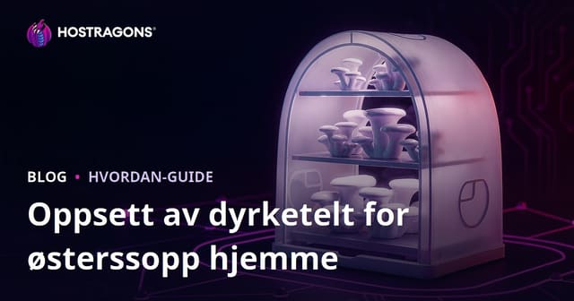 Oppsett av Østerssoppproduksjon i Hjemmetelt: Trinn-for-Trinn Veiledning