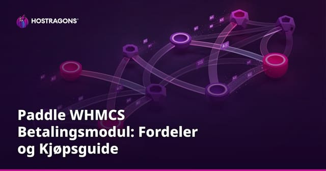 Paddle WHMCS Betalingsmodul: Fordeler og Kjøpsguide