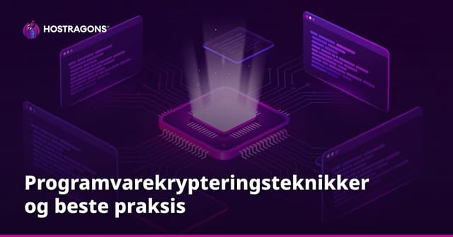 Programvarekrypteringsteknikker og beste praksis