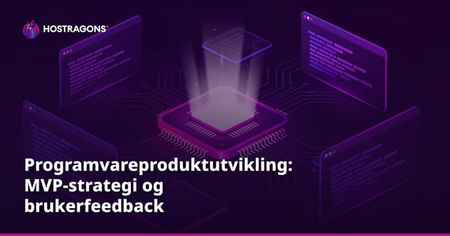 Programvareproduktutvikling: MVP-strategi og brukerfeedback