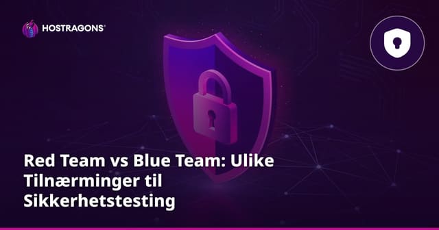 Red Team vs Blue Team: Ulike Tilnærminger til Sikkerhetstesting