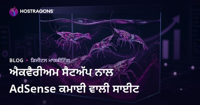 ਇਕਵਾਰਿਯਮ ਸੈਟਅੱਪ ਅਤੇ ਨਮੂਨਿਆਂ ਲਈ ਉੱਚ ਆਦਸੈਂਸ ਆਮਦਨ ਵਾਲੀ ਵੈਬਸਾਈਟ ਬਣਾਉਣਾ