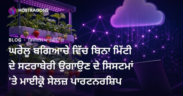 ਘਰੇਲੂ ਬਗਿਆਚੇ ਵਿੱਚ ਬਿਨਾ ਮਿੱਟੀ ਦੇ ਸਟਰਾਬੇਰੀ ਉਗਾਉਣ ਦੇ ਸਿਸਟਮਾਂ 'ਤੇ ਮਾਈਕ੍ਰੋ ਸੇਲਜ਼ ਪਾਰਟਨਰਸ਼ਿਪ