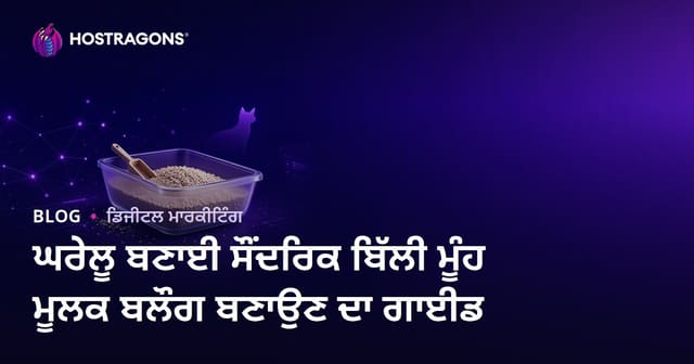 ਘਰੇਲੂ ਬਣਾਈ ਸੌਂਦਰਿਕ ਬਿੱਲੀ ਮੂੰਹ ਮੂਲਕ ਬਲੌਗ ਬਣਾਉਣ ਦਾ ਗਾਈਡ