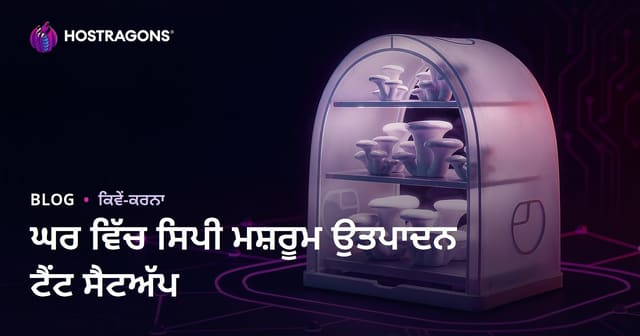 ਘਰ ਵਿੱਚ ਓਸਟਰੇ ਮਸ਼ਰੂਮ ਉਤਪਾਦਨ ਟੈਂਟ ਸੈੱਟਅਪ: ਪਦਰਦਸ਼ਤ ਪੜਤਾਲ