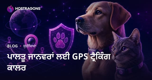 ਪਾਲਤੂ ਜਾਨਵਰਾਂ ਲਈ GPS ਟ੍ਰੈਕਿੰਗ ਕਾਲਰਾਂ ਦੀ ਸਮੀਖਿਆ ਕਰਨ ਵਾਲਾ ਸੁਰੱਖਿਆ ਬਲੌਗ