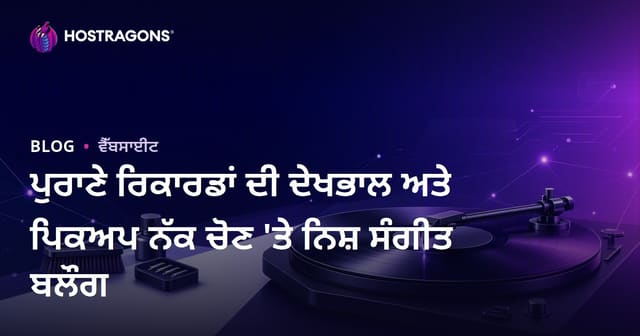 ਪੁਰਾਣੇ ਰਿਕਾਰਡਾਂ ਦੀ ਦੇਖਭਾਲ ਅਤੇ ਪਿਕਅਪ ਨੱਕ ਚੋਣ 'ਤੇ ਨਿਸ਼ ਸੰਗੀਤ ਬਲੌਗ
