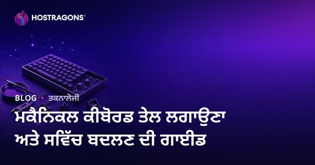 ਮਕੈਨਿਕਲ ਕੀਬੋਰਡ ਤੇਲ ਲਗਾਉਣਾ ਅਤੇ ਸਵਿੱਚ ਬਦਲਣ ਦੀ ਗਾਈਡ