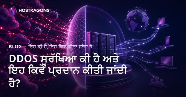 DDOS ਸੁਰੱਖਿਆ ਕੀ ਹੈ ਅਤੇ ਇਹ ਕਿਵੇਂ ਪ੍ਰਦਾਨ ਕੀਤੀ ਜਾਂਦੀ ਹੈ?