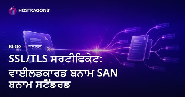 SSL/TLS ਸਰਟੀਫਿਕੇਟ: ਵਾਈਲਡਕਾਰਡ ਬਨਾਮ SAN ਬਨਾਮ ਸਟੈਂਡਰਡ
