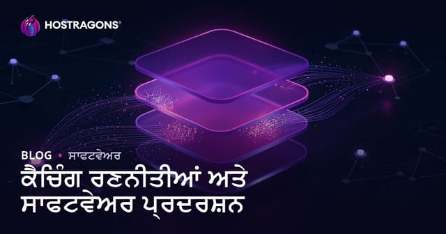 ਕੈਚਿੰਗ ਰਣਨੀਤੀਆਂ ਅਤੇ ਸਾਫਟਵੇਅਰ ਪ੍ਰਦਰਸ਼ਨ