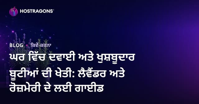 ਘਰ ਵਿੱਚ ਦਵਾਈ ਅਤੇ ਖੁਸ਼ਬੂਦਾਰ ਬੂਟੀਆਂ ਦੀ ਖੇਤੀ: ਲੈਵੈਂਡਰ ਅਤੇ ਰੋਜ਼ਮੇਰੀ ਦੇ ਲਈ ਗਾਈਡ