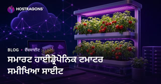 ਸਿਰਫ਼ ਘਰ ਵਿੱਚ ਅਕਲਮੰਦ ਹਾਈਡਰੋਪੋਨਿਕ ਟਮਾਟਰ ਖੇਤੀ ‘ਤੇ ਰਿਸਰਚ ਸਾਈਟ ਬਣਾਉਣ ਦੀ ਗਾਈਡ