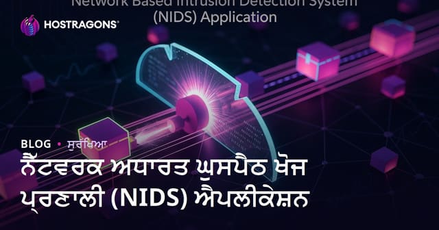 ਨੈੱਟਵਰਕ ਅਧਾਰਤ ਘੁਸਪੈਠ ਪਛਾਣ ਸਿਸਟਮ (NIDS) ਦੀ ਧੁਰਿਆਂ ਤੋਂ ਐਪਲੀਕੇਸ਼ਨ