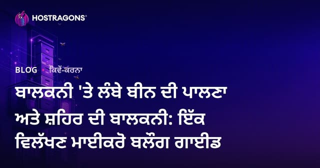 ਬਾਲਕਨੀ 'ਤੇ ਲੰਬੇ ਬੀਨ ਦੀ ਪਾਲਣਾ ਅਤੇ ਸ਼ਹਿਰ ਦੀ ਬਾਲਕਨੀ: ਇੱਕ ਵਿਲੱਖਣ ਮਾਈਕਰੋ ਬਲੌਗ ਗਾਈਡ