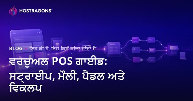 ਵਰਚੁਅਲ POS ਗਾਈਡ: ਸਟ੍ਰਾਈਪ, ਮੌਲੀ, ਪੈਡਲ ਅਤੇ ਵਿਕਲਪ