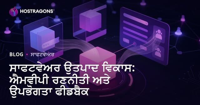 ਸਾਫਟਵੇਅਰ ਉਤਪਾਦ ਵਿਕਾਸ: ਐਮਵੀਪੀ ਰਣਨੀਤੀ ਅਤੇ ਉਪਭੋਗਤਾ ਫੀਡਬੈਕ