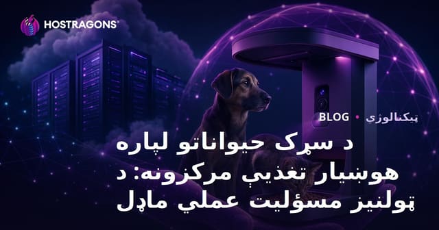 د سړک حیواناتو لپاره هوښیار تغذیې مرکزونه: د ټولنیز مسؤلیت عملي ماډل