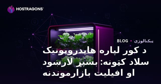 د کور لپاره هایدروپونیک سلاد کټونه: بشپړ لارښود او افیلیت بازارموندنه