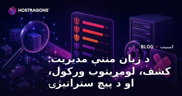 د زیان مننې مدیریت: کشف، لومړیتوب ورکول، او د پیچ ستراتیژۍ