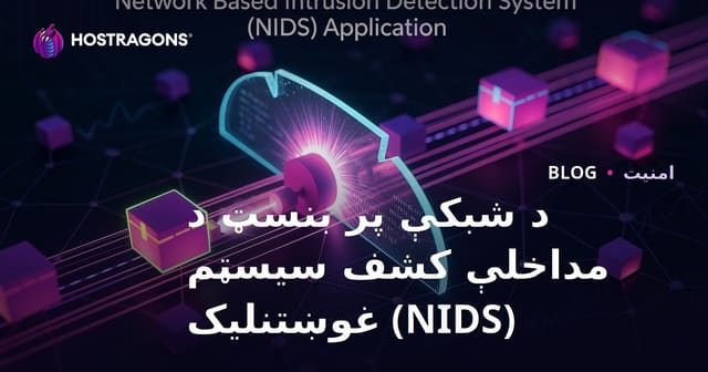 د شبکې پر بنسټ د مداخلې کشف سیسټم (NIDS) غوښتنلیک