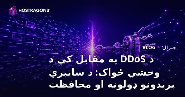 DDoS vs Brute Force: دسیبری حملوں کی اقسام اور تحفظ