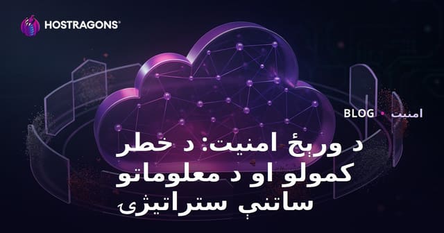 د ورېځ امنیت: د خطر کمولو او د معلوماتو ساتنې ستراتیژۍ