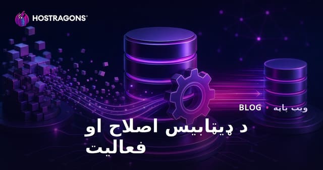 د معلوماتو د قید نظامونو اصلاح او فعالیت