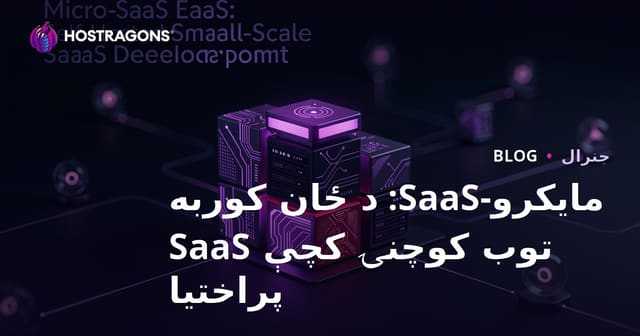 مایکرو-SaaS: د ځان کوربه توب کوچنۍ کچې SaaS پراختیا
