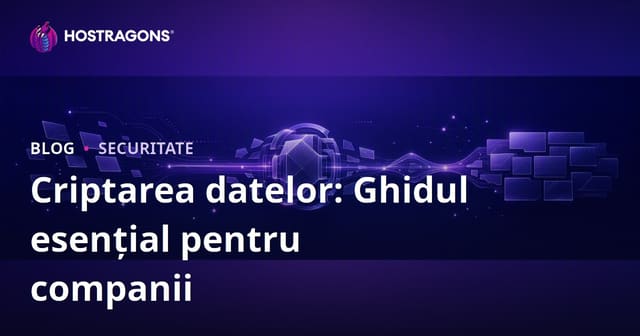 Criptarea datelor: Ghidul esențial pentru companii