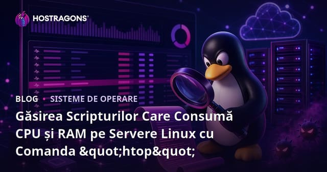 Găsirea Scripturilor Care Consumă CPU și RAM pe Servere Linux cu Comanda "htop"
