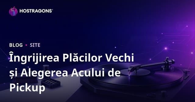 Îngrijirea Plăcilor Vechi și Alegerea Acului de Pickup