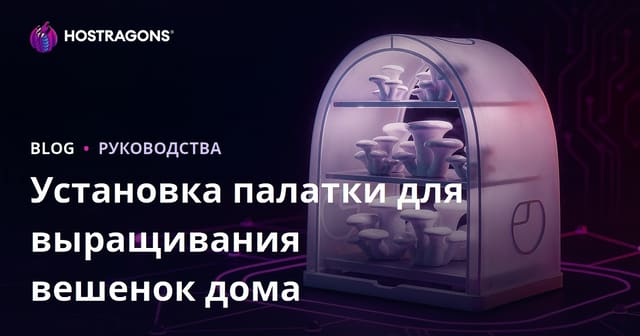 Выращивание вешенок дома: пошаговое руководство по созданию грибного тепличного шатра