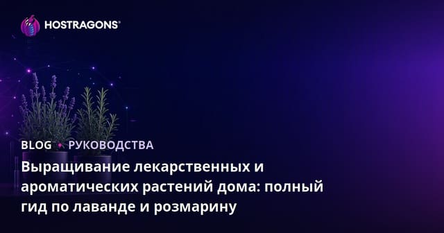 Выращивание лекарственных и ароматических растений дома: полный гид по лаванде и розмарину