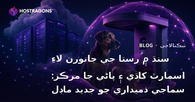 سنڌ ۾ رستا جي جانورن لاءِ اسمارٽ کاڌي ۽ پاڻي جا مرڪز: سماجي ذميداري جو جديد ماڊل