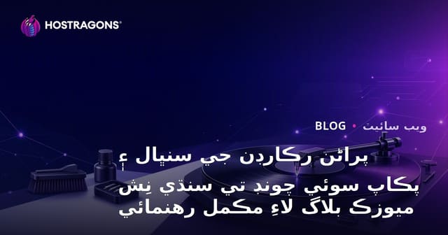 پراڻن رڪارڊن جي سنڀال ۽ پڪاپ سوئي چونڊ تي سنڌي نِش ميوزڪ بلاگ لاءِ مڪمل رهنمائي