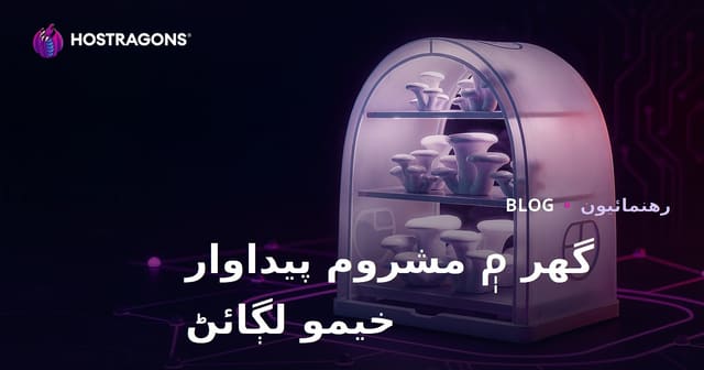 گهر ۾ اوئسٽر مشروم جي پيداوار لاءِ خيمي جو سيٽ اپ: قدم بہ قدم سنڌي رهنمائي