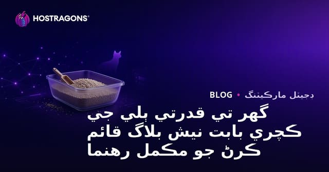 گهر تي قدرتي ٻلي جي ڪچري بابت نيش بلاگ قائم ڪرڻ جو مڪمل رهنما
