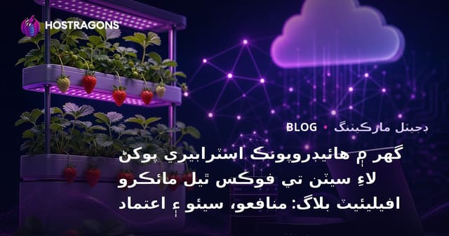 گھر ۾ هائيڊروپونڪ اسٽرابيري پوکڻ لاءِ سيٽن تي فوڪس ٿيل مائڪرو افيليئيٽ بلاگ: منافعو، سيئو ۽ اعتماد