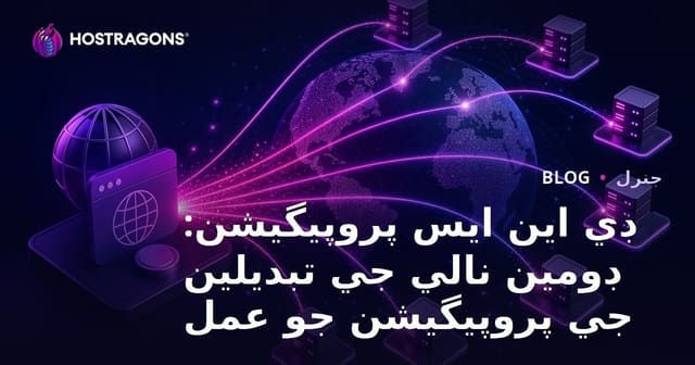 ڊي اين ايس پروپيگيشن: ڊومين نالي جي تبديلين جي پروپيگيشن جو عمل